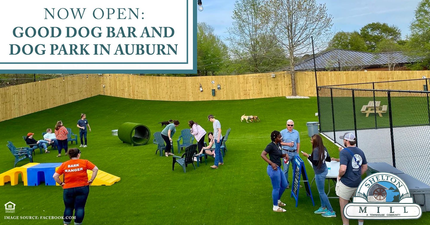 Now Open: Good Dog Bar and Dog Park in Auburn